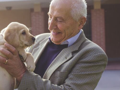 "Cani e gatti sono buongustai. Io sono il loro chef preferito"
