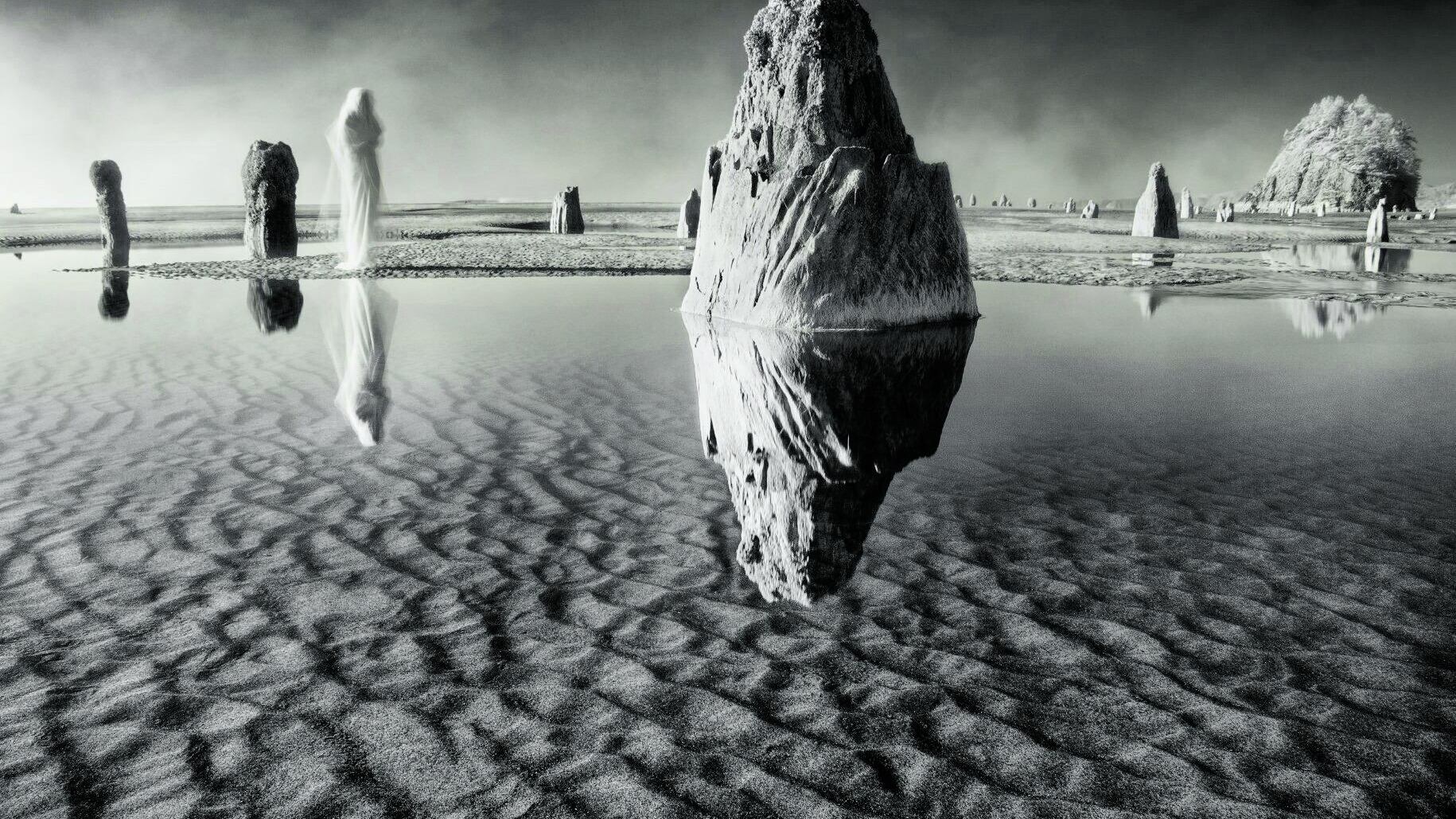 "Metamorfosi" tra le foto. L'immaginazione in Fiera