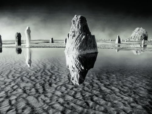 "Metamorfosi" tra le foto. L'immaginazione in Fiera