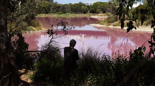 Australia: scatti dal lago di Westgate Park  9