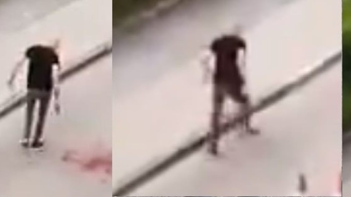 La falla della polizia tedesca sull'assassino con la katana