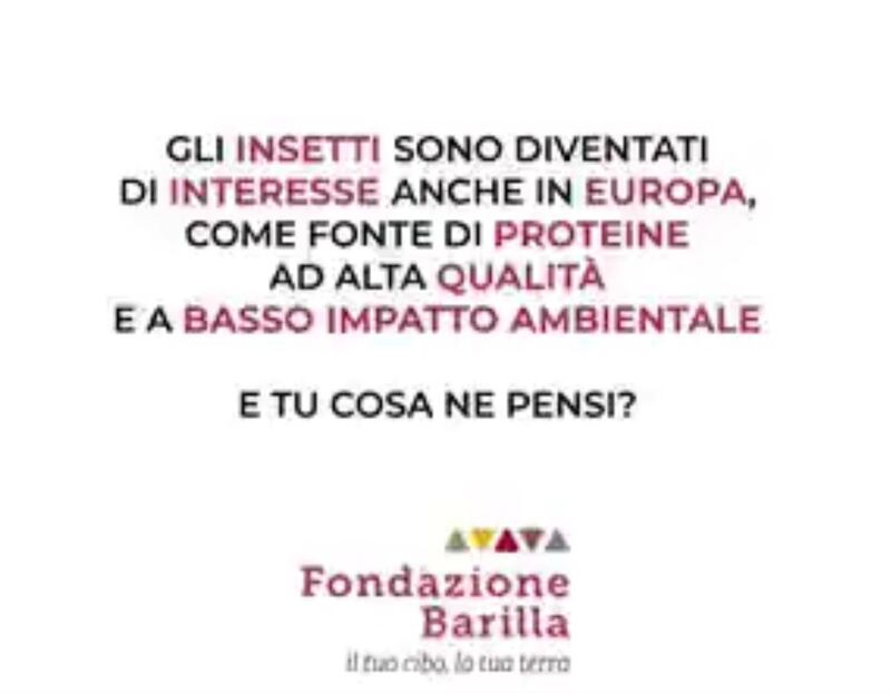 Barilla insetti