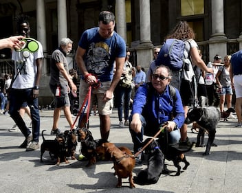 La "Sausage Walk" a Milano: sfilano i bassotti 19