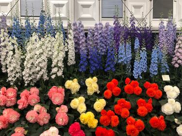 Giardini Arte Fiori Forte GAFF: il giardino che fiorisce dal mare 4