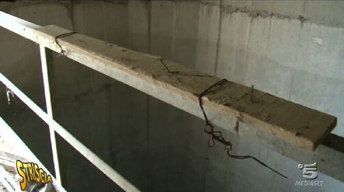 Un mattatoio abusivo in un pilone della Palermo-Messina 4