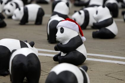 1.600 panda di carta "invadono" Kuala Lumpur 4