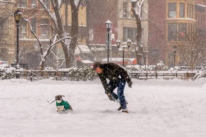 New York sotto la neve 1