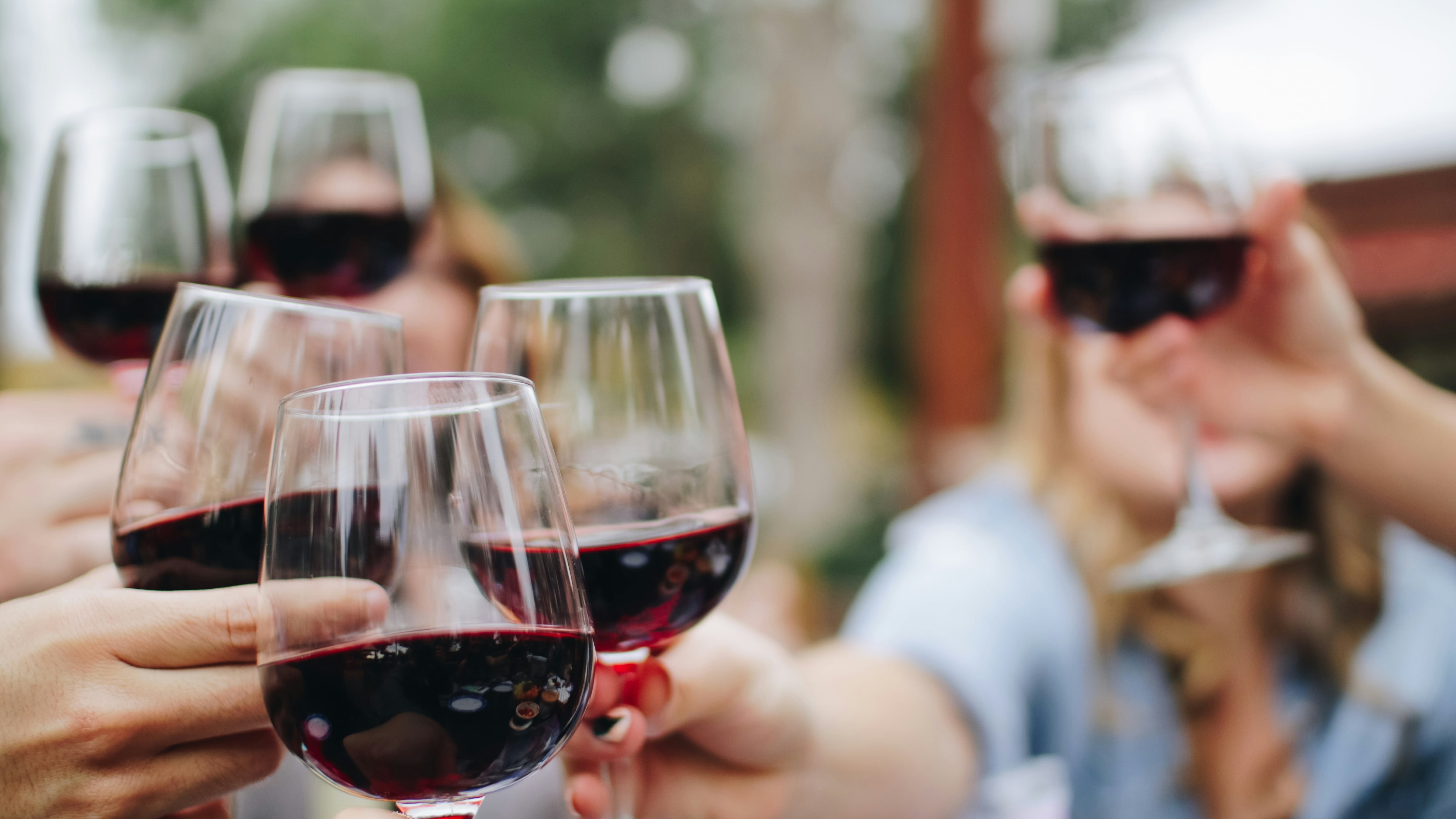 In vino canicula