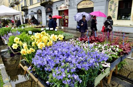 A Milano il Mercato Fiori e Sapori nel Naviglio Grande 3