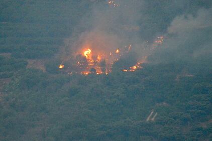 Palermo accerchiata dal fuoco: bruciano le colline attorno alla città 4