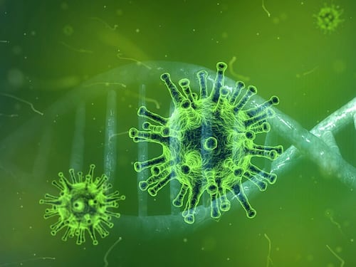 Polmoni, ecco come subiscono gravi attacchi di virus