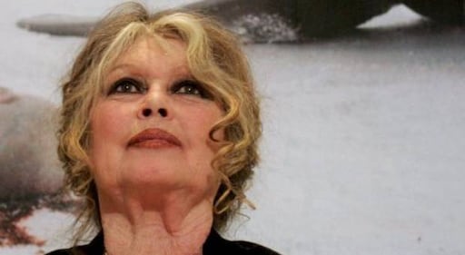 Le donne francesi più amate dagli italiani 16