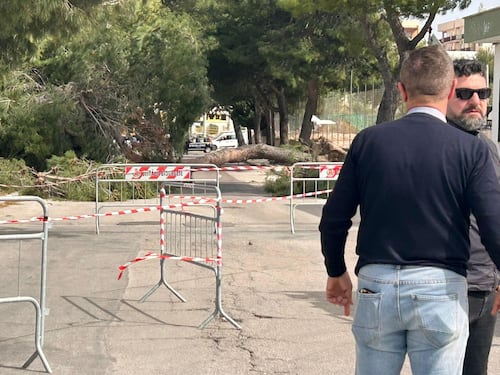 Due morti per il forte vento in Puglia: 12enne schiacciata da un albero, operaio colpito da un palo delle luce
