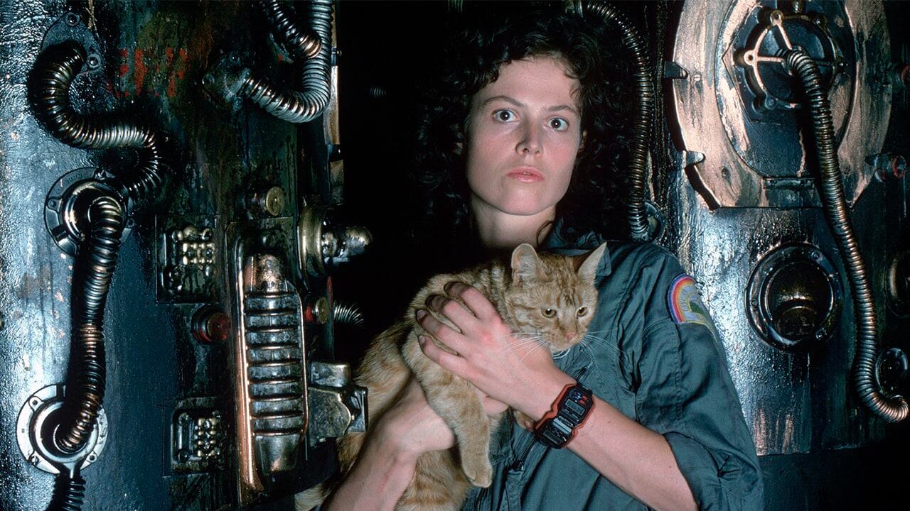 Il mito di Alien torna al cinema: l’horror che è diventato un cult