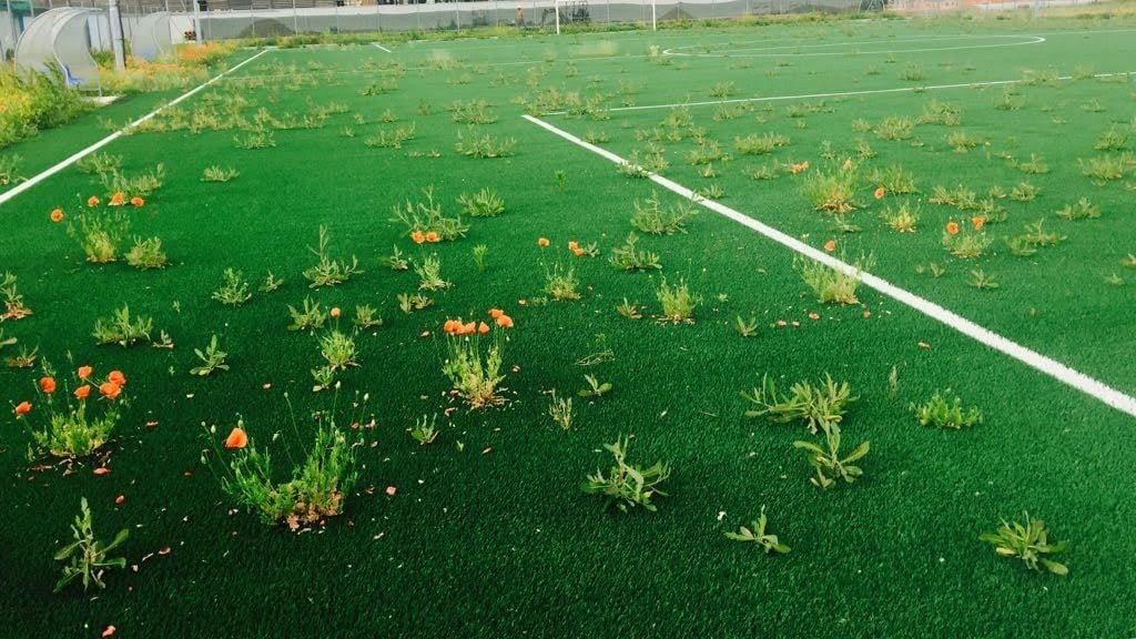 Campo da calcio pronto Ma i giovani aspettano il collaudo del Comune