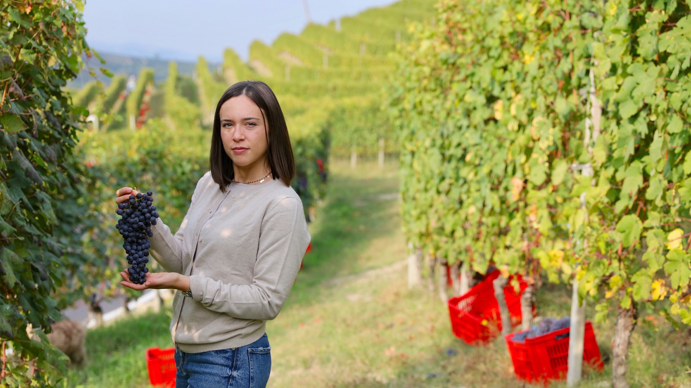 Pio Cesare, le Langhe multi-anima