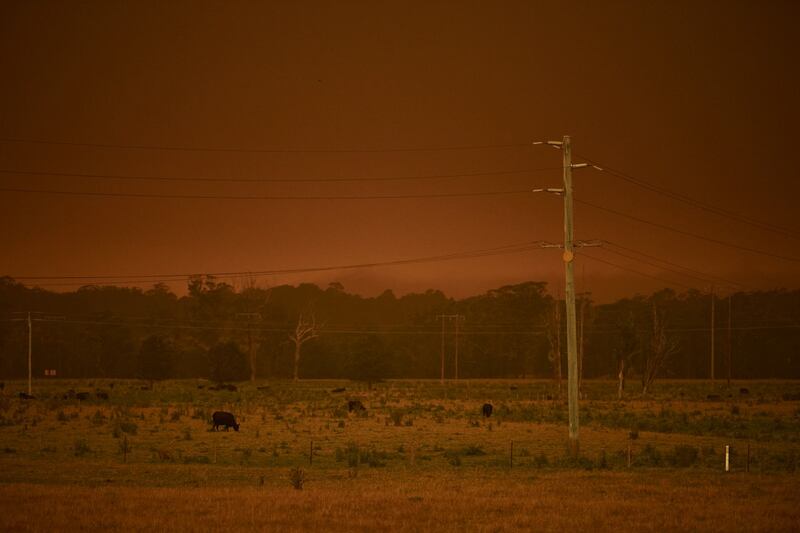 Incendi in Australia, il cielo si tinge di arancione 2
