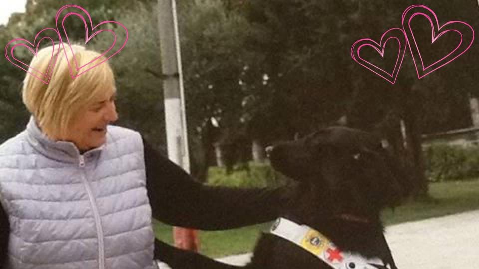 Torino, ipovedente minacciata su bus: “Il tuo cane deve scendere o lo butto giù”
