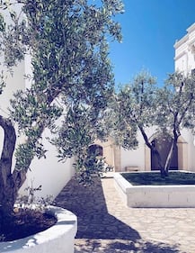 Raoul Bova apre una masseria in Puglia  4