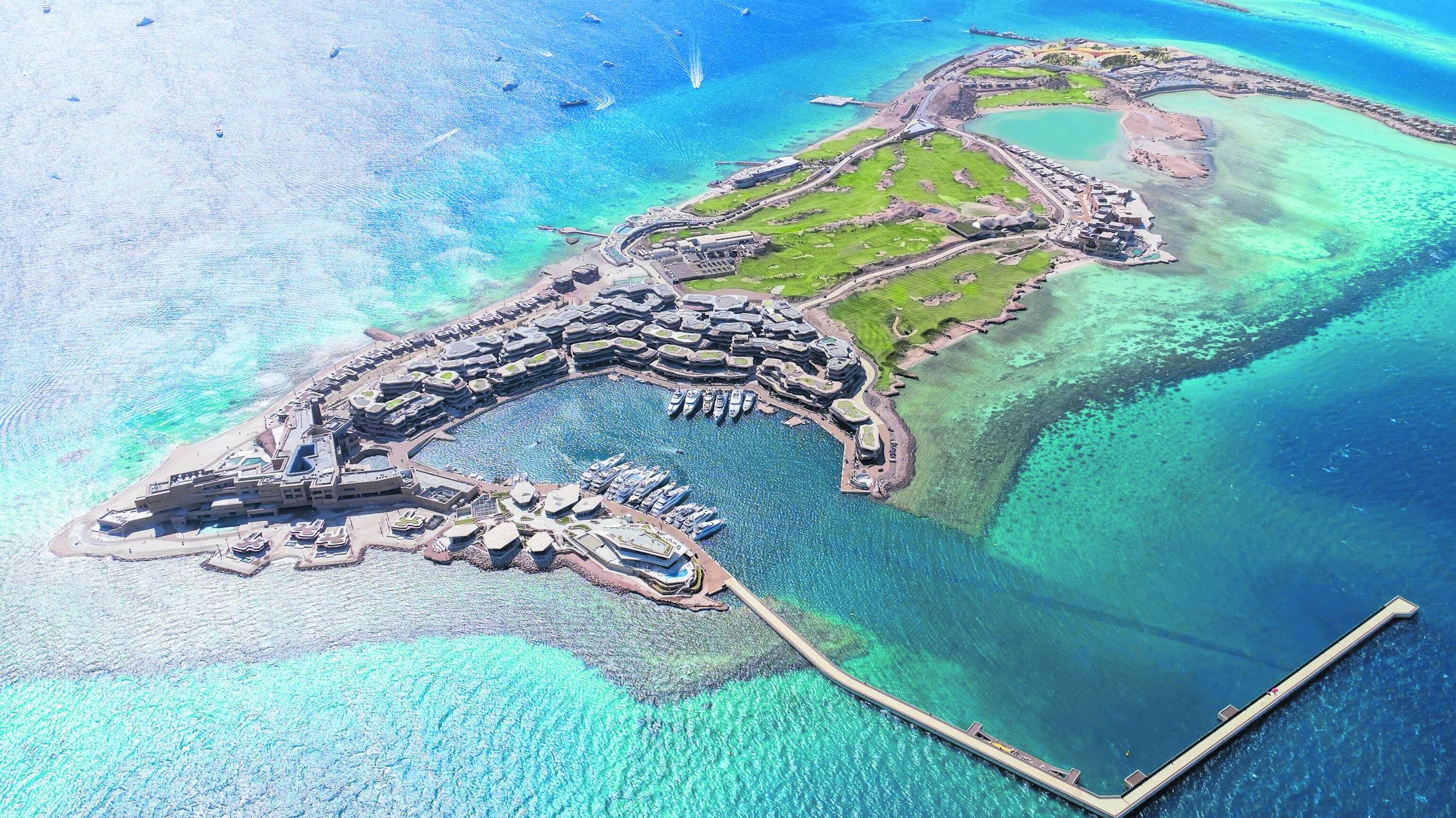 Dini disegna l'isola delle meraviglie