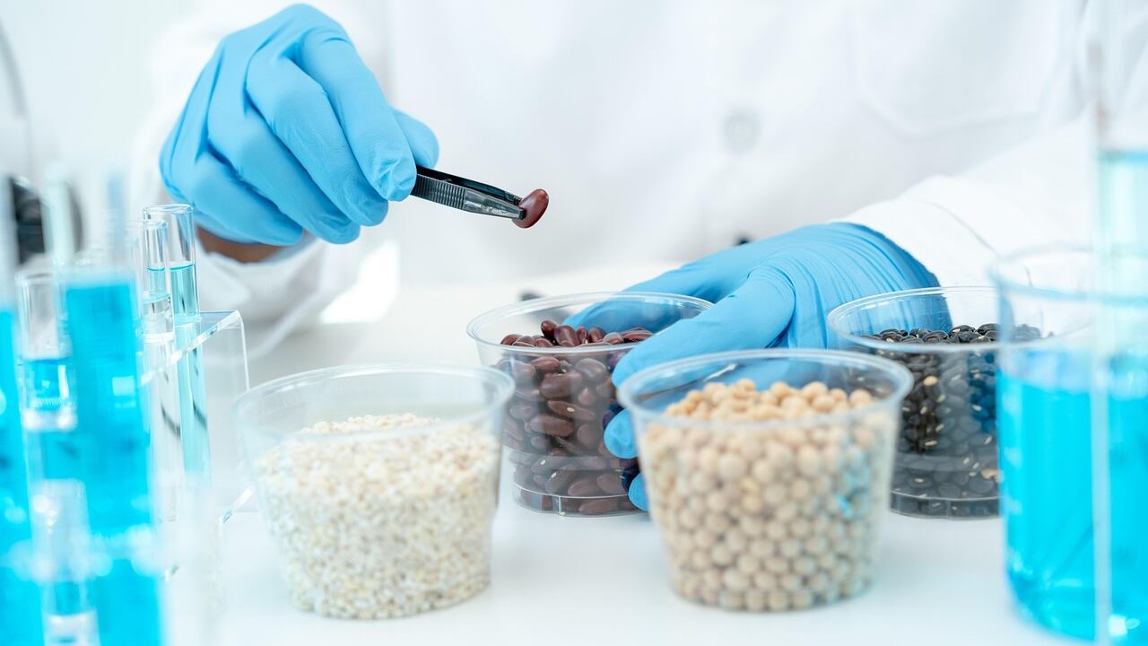 7 alimenti che danneggiano la salute del cervello secondo gli esperti
