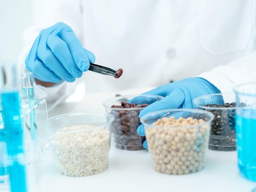 7 alimenti che danneggiano la salute del cervello secondo gli esperti