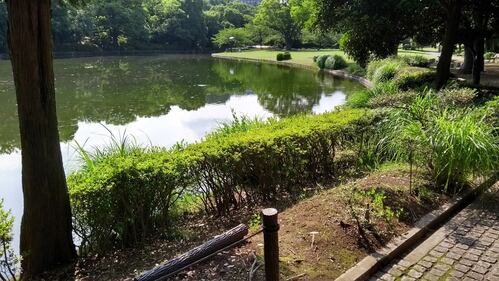 Torri, fossati e giardini eccezionali: nel Palazzo Imperiale a Tokyo 7
