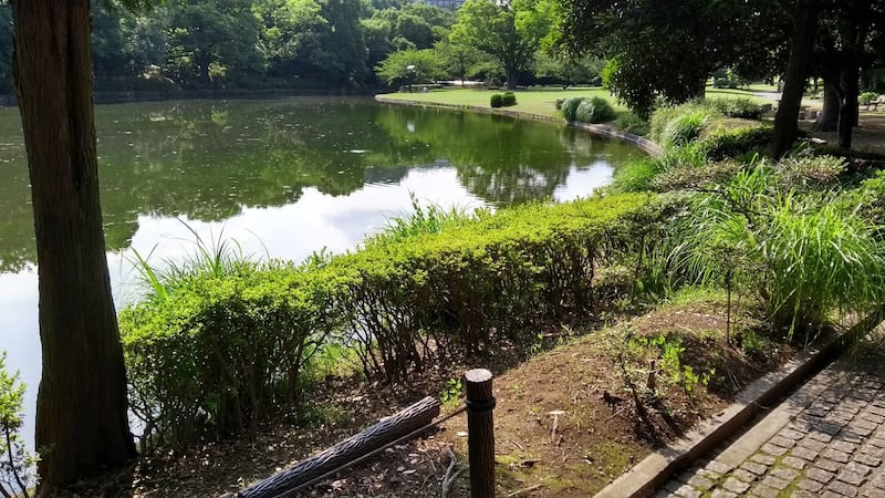 Torri, fossati e giardini eccezionali: nel Palazzo Imperiale a Tokyo 7