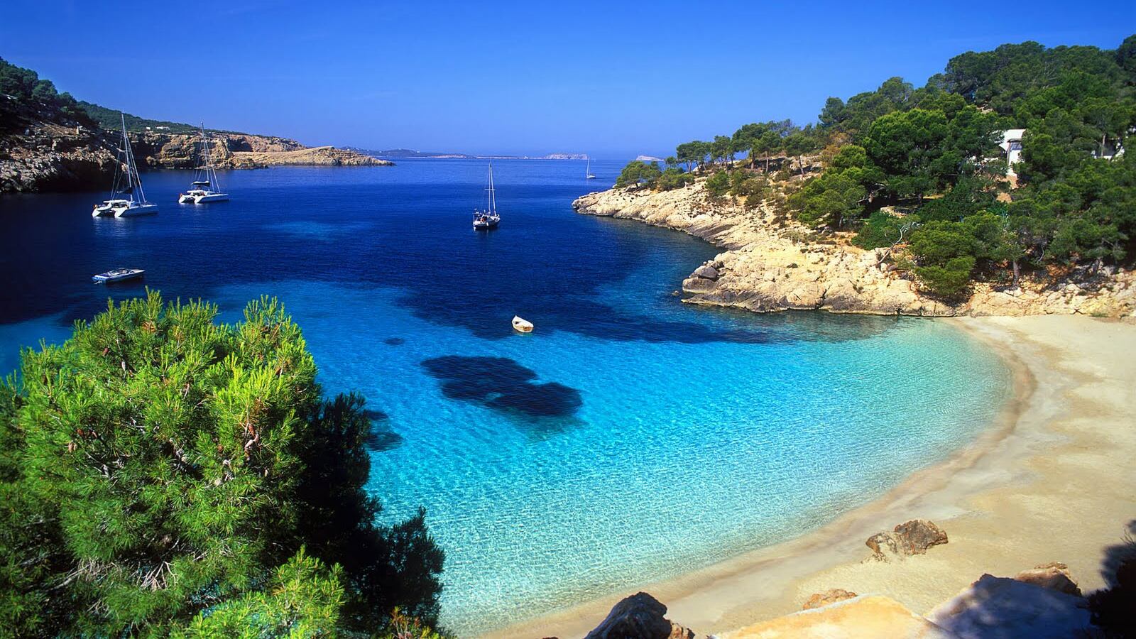 Imprenditore torinese vende lattine di "aria di Ibiza" a 5.90 euro