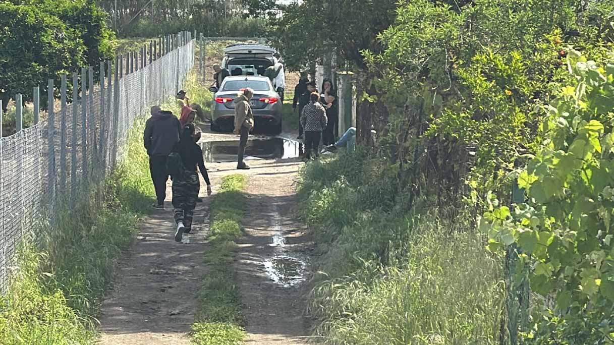 Francesco Pio, sbranato dai pitbull: indagati i familiari e i proprietari dei cani