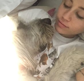Miley Cyrus, sexy fotografie 9