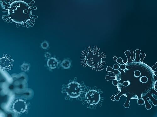 Coronavirus, le indicazioni per evitare il contagio
