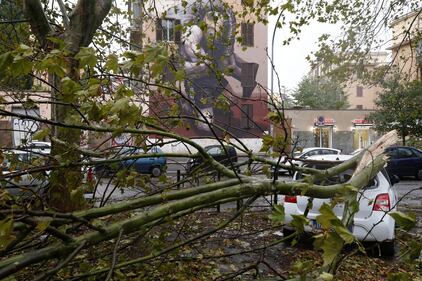 Maltempo a Roma, alberi caduti in tutta la città 1
