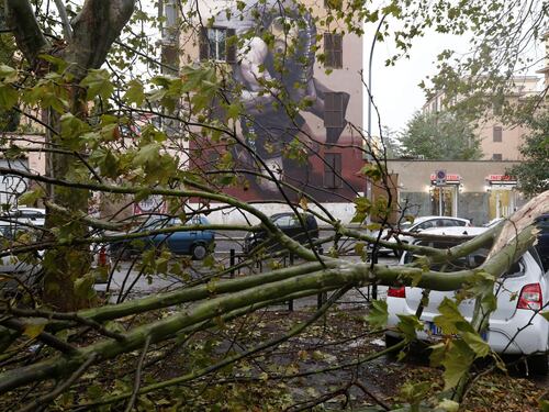 Maltempo a Roma, alberi caduti in tutta la città