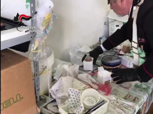 Topi morti tra i formaggi nel "caseificio dell'orrore"