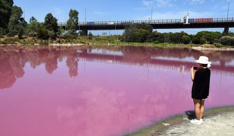 Lago australiano rosa: le foto 2