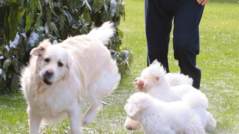 Figli, sport e Pascale: Berlusconi si racconta a "Chi"