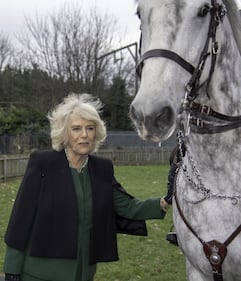 Camilla Parker Bowles, le foto della duchessa di Cornovaglia 9