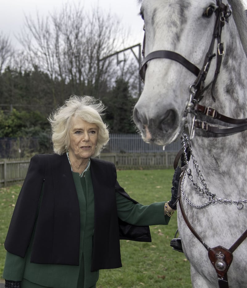 Camilla Parker Bowles, le foto della duchessa di Cornovaglia 9