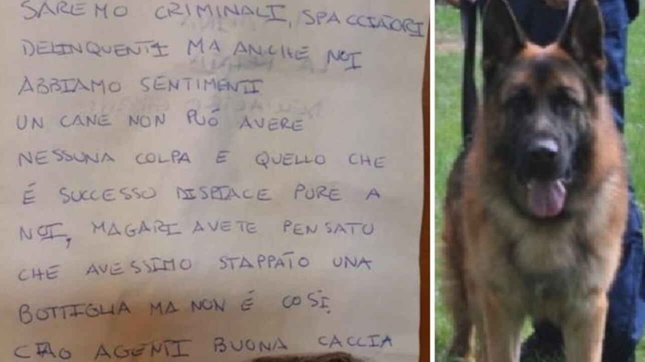 Al cane antidroga omaggio anche degli spacciatori