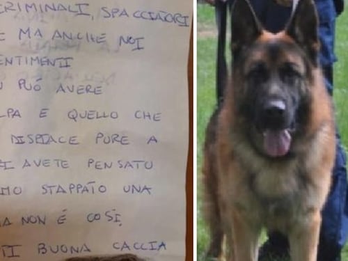 Muore Rocky, il cane antidroga che fa piangere pure gli spacciatori