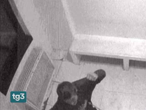 Botte e umiliazioni in questura. Ecco le foto della vergogna
