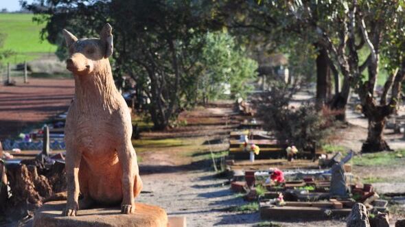 A Pisa il primo cimitero misto per animali e padroni