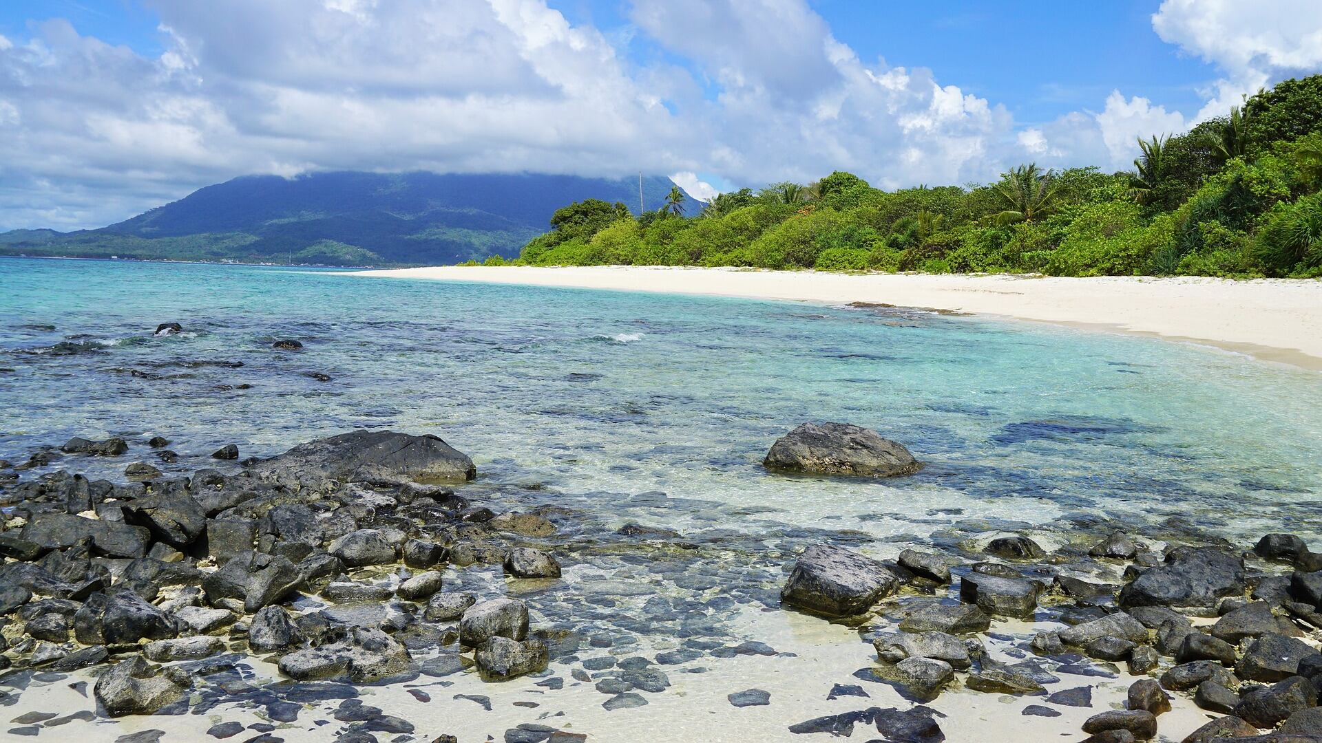 La lotta per sopravvivere sull'isola deserta