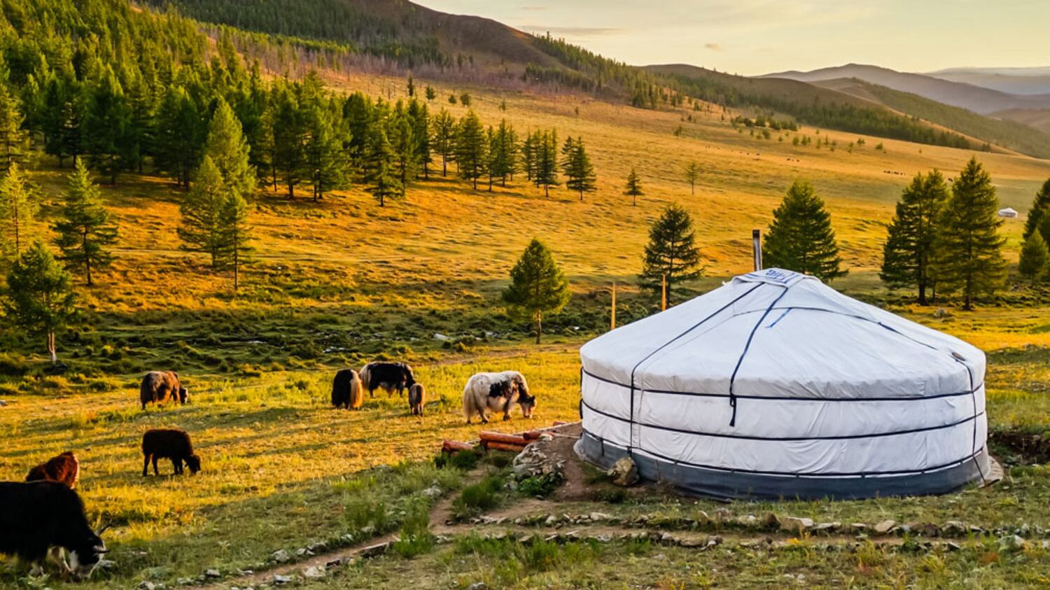 Mongolia, allarme peste bubbonica: due i morti