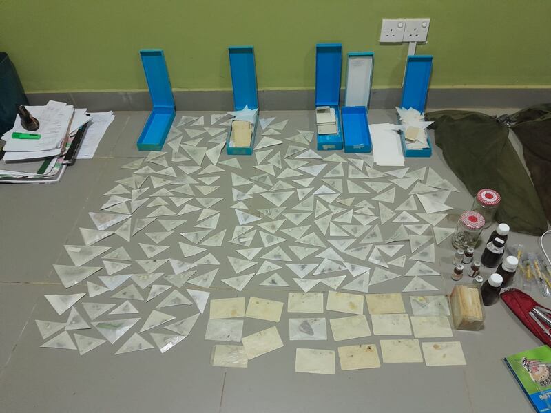 Ortopedico arrestato in Sri Lanka, ecco cosa aveva sottratto dal parco naturalistico 4