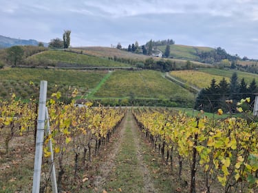 Langhe e Roero, le terre del Barolo e del Barbaresco 2
