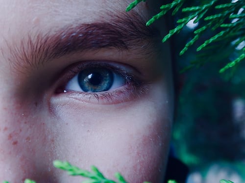 Collagene, quali sono gli alimenti che mantengono la pelle giovane