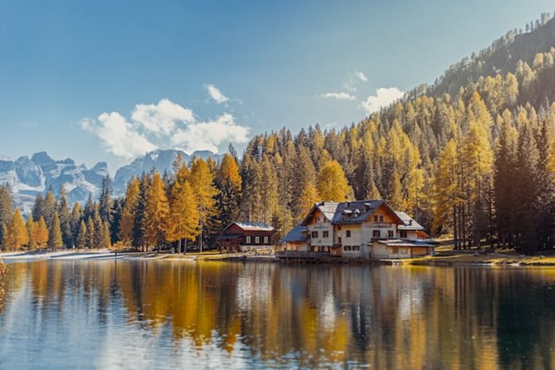 Alberi