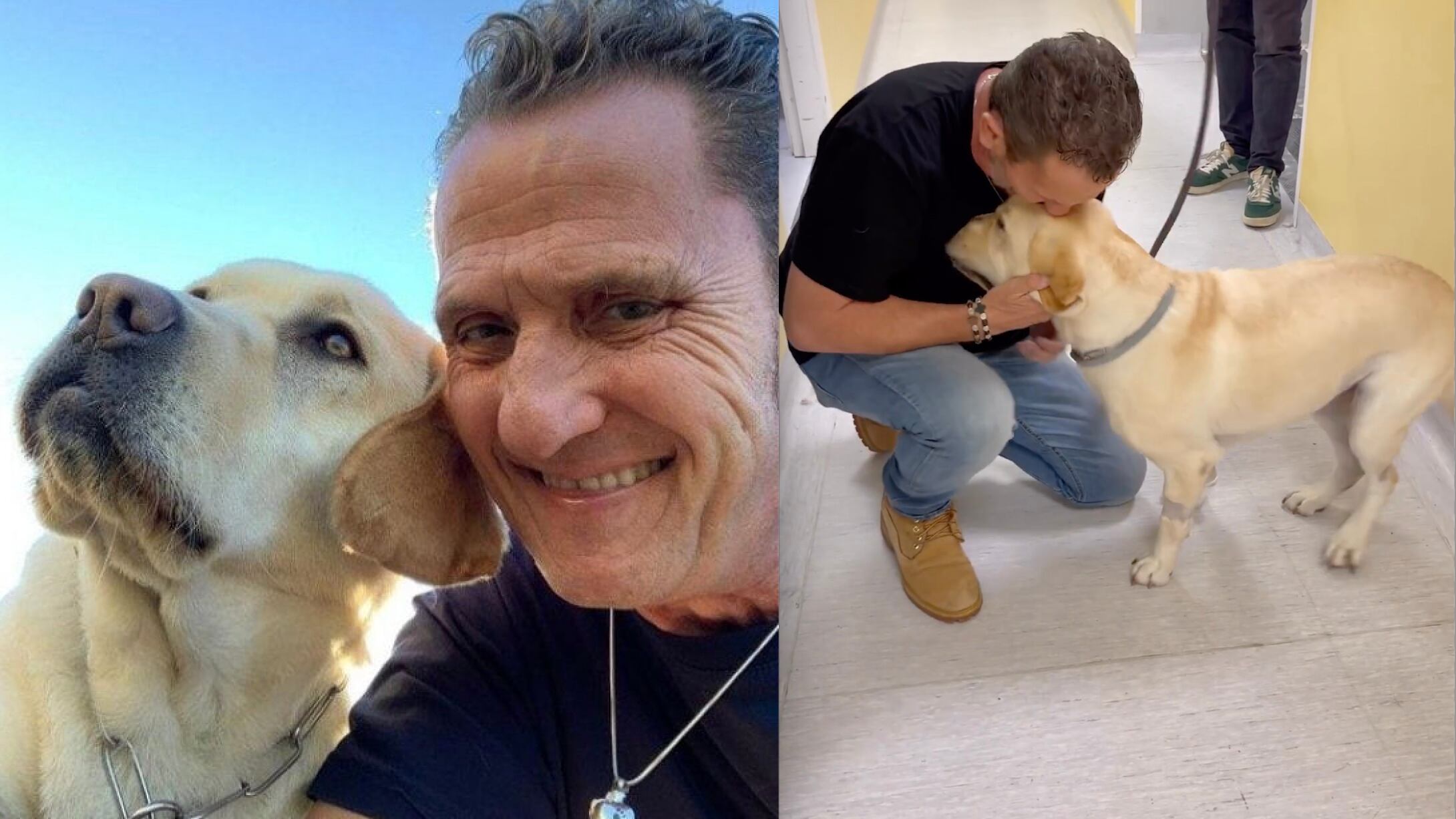 "Sta meglio". Buone notizie per il cane di Enzo Salvi: cosa era successo